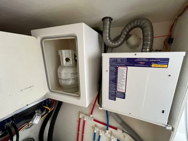 Slide: The Image of Maine Cat 38 2018 - 4739013