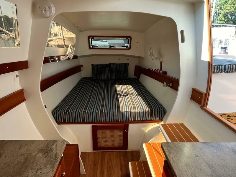 Slide: The Image of Maine Cat 38 2018 - 4739015