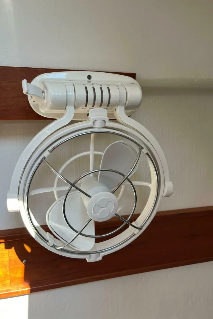 Slide: The Image of Maine Cat 38 2018 - 4739017