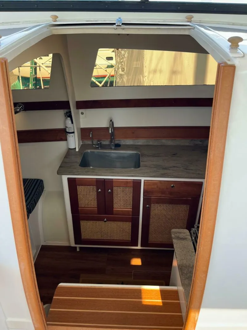 Slide: The Image of Maine Cat 38 2018 - 4739026