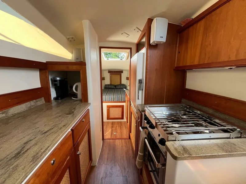 Slide: The Image of Maine Cat 38 2018 - 4739033