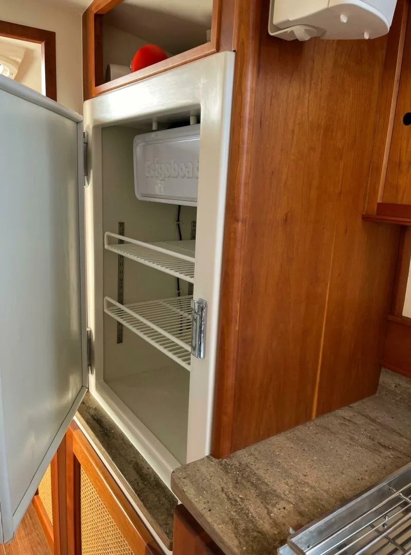 Slide: The Image of Maine Cat 38 2018 - 4739037