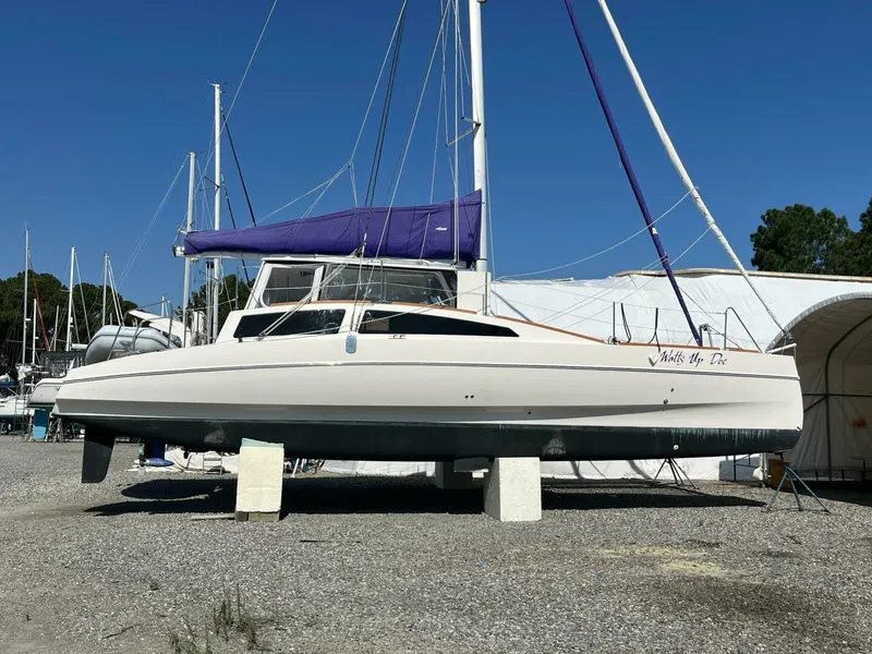 Slide: The Image of Maine Cat 38 2018 - 4739043