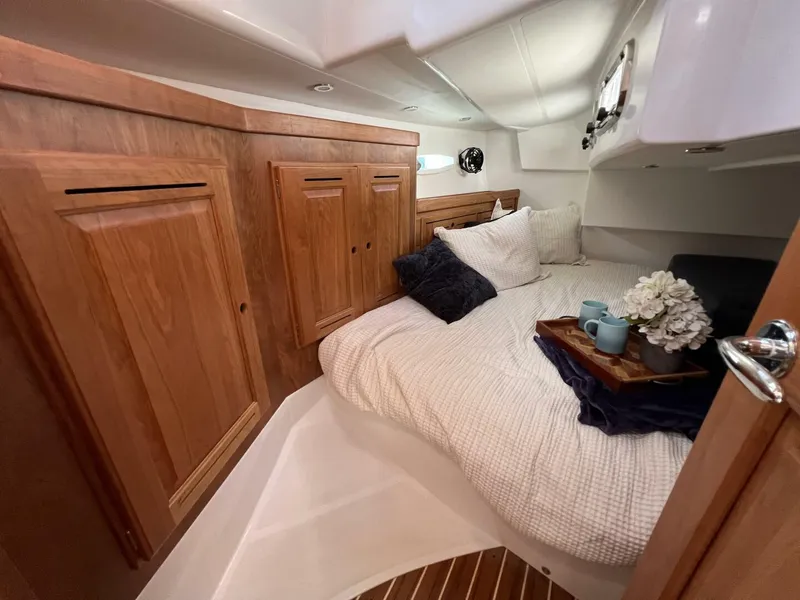 Slide: The Image of Tartan 395 2024 - 4741523