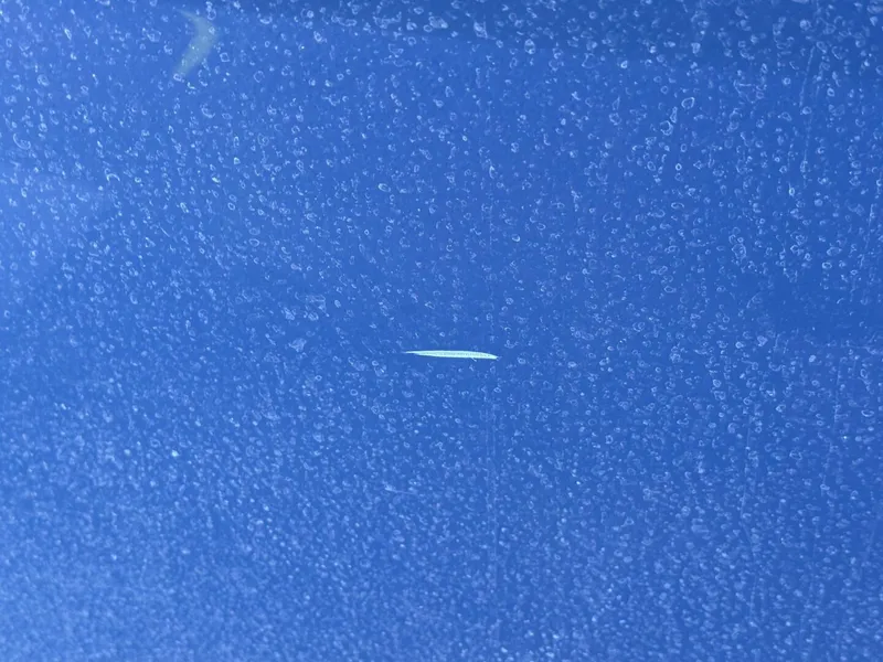 Slide: The Image of Regal 3360 Window Express 2006 - 4751045