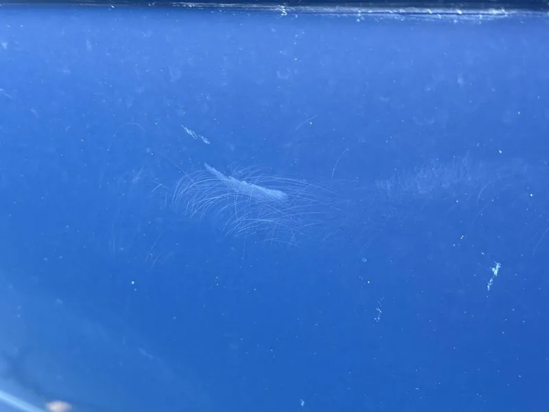 Slide: The Image of Regal 3360 Window Express 2006 - 4751048