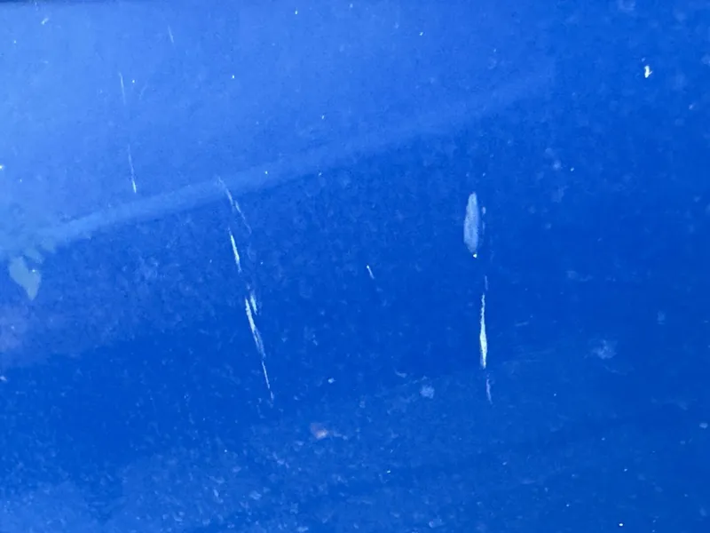 Slide: The Image of Regal 3360 Window Express 2006 - 4751054