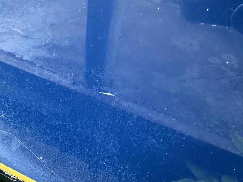 Slide: The Image of Regal 3360 Window Express 2006 - 4751067