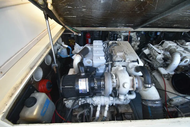 Slide: The Image of Carolina 28 Express 1999 - 4758146