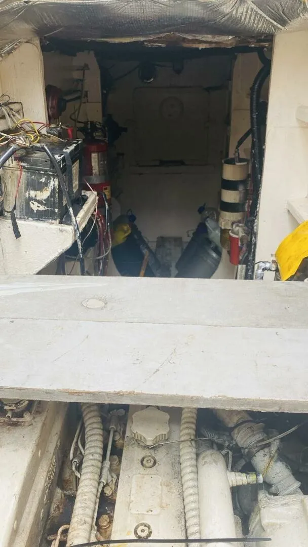 Slide: The Image of Key West FAST FERRY 1996 - 5034242