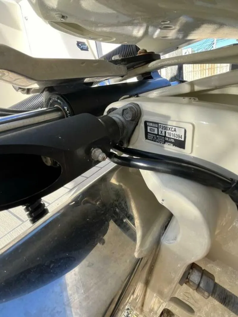 Slide: The Image of Scout 277 Dorado 2022 - 4760913