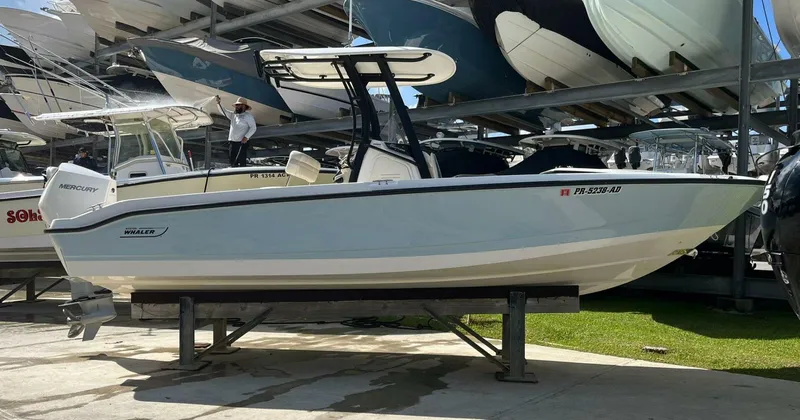 The Image of Boston Whaler 250 Dauntless 2022 - 4764291
