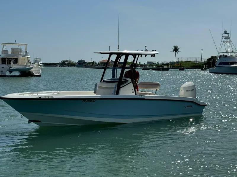 Slide: The Image of Boston Whaler 250 Dauntless 2022 - 4764364