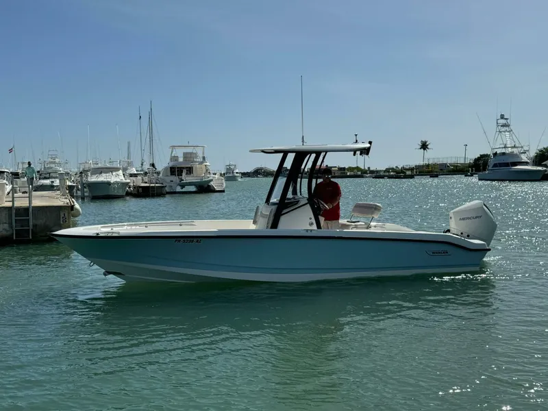 Slide: The Image of Boston Whaler 250 Dauntless 2022 - 4764367