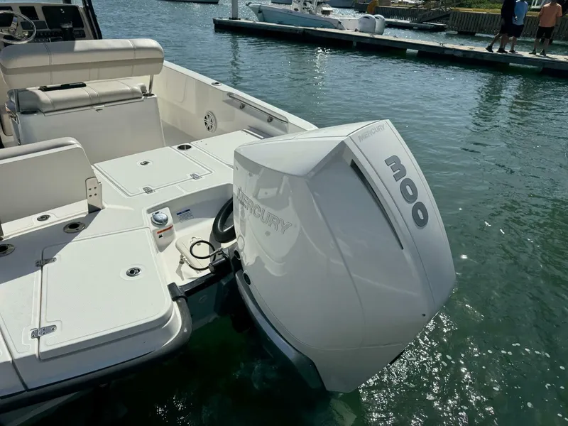 Slide: The Image of Boston Whaler 250 Dauntless 2022 - 4764380