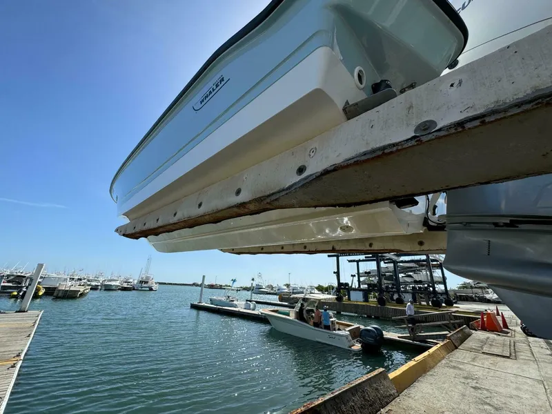 Slide: The Image of Boston Whaler 250 Dauntless 2022 - 4764346
