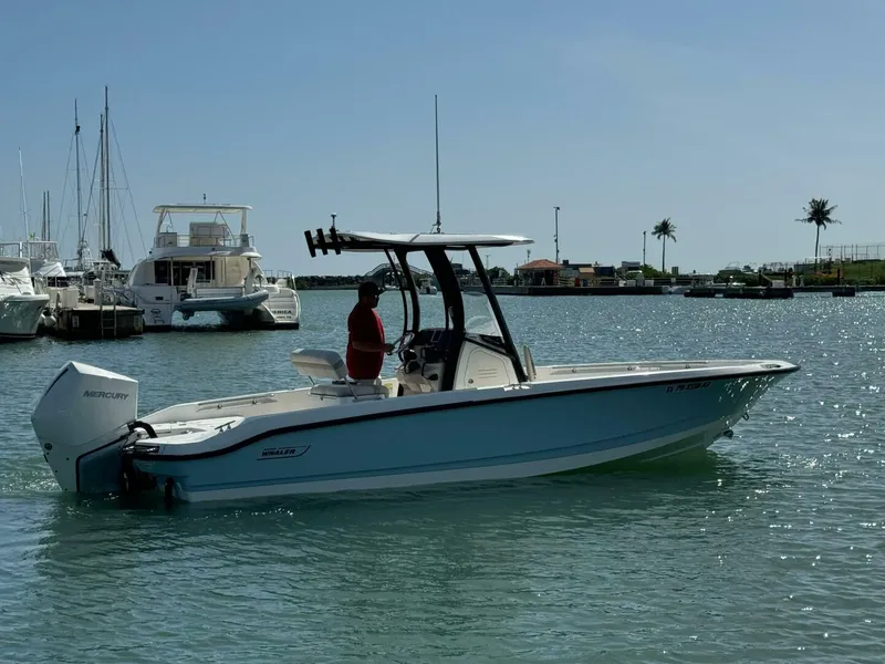 Slide: The Image of Boston Whaler 250 Dauntless 2022 - 4764351