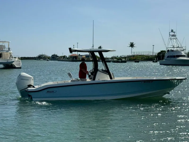 Slide: The Image of Boston Whaler 250 Dauntless 2022 - 4764353