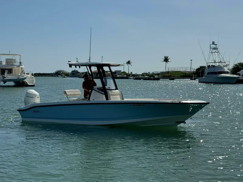 Slide: The Image of Boston Whaler 250 Dauntless 2022 - 4764355