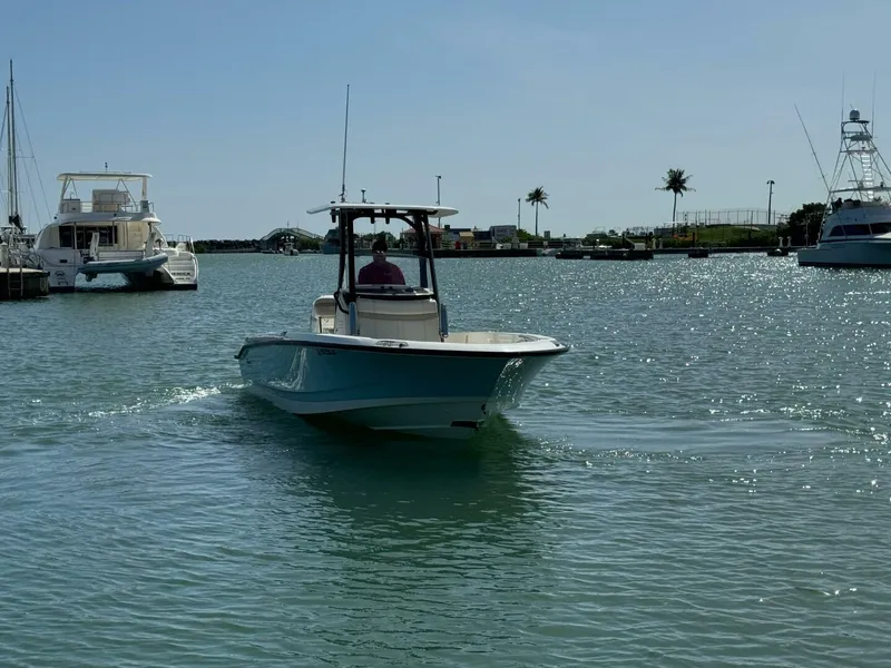 Slide: The Image of Boston Whaler 250 Dauntless 2022 - 4764357