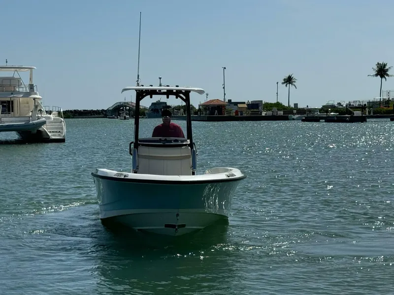 Slide: The Image of Boston Whaler 250 Dauntless 2022 - 4764359