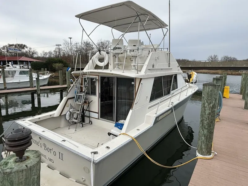 The Image of 1988 Silverton Convertible - 5825801