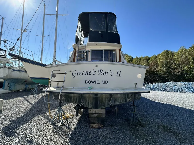 Slide: The Image of 1988 Silverton - 4767639