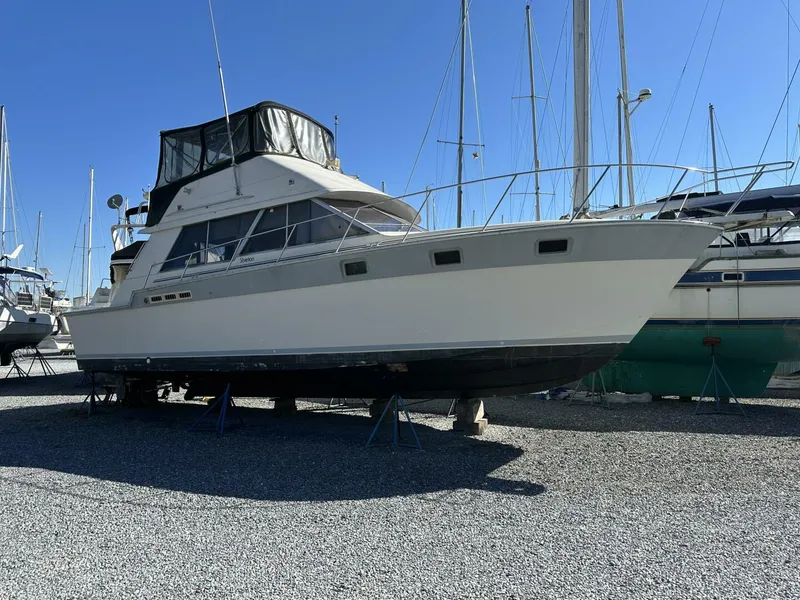 Slide: The Image of 1988 Silverton - 4767637