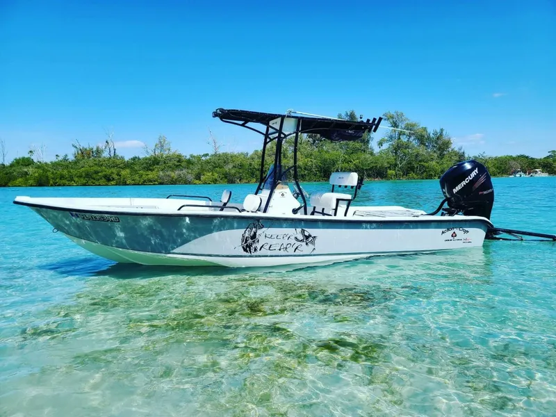 Slide: The Image of Action Craft 24 Coast Bay ACE EDITION 2016 - 4772356