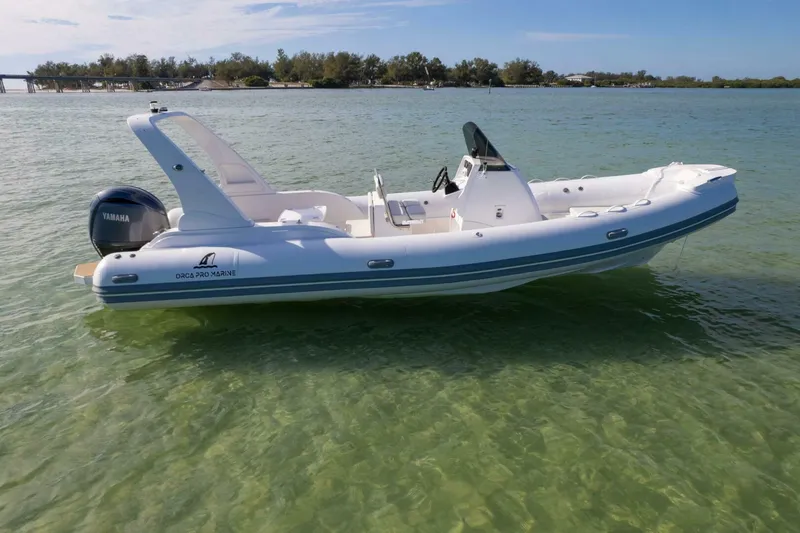 Slide: The Image of Orca Pro Marine 26 2023 - 4789567