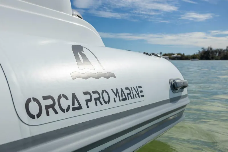 Slide: The Image of Orca Pro Marine 26 2023 - 4789580