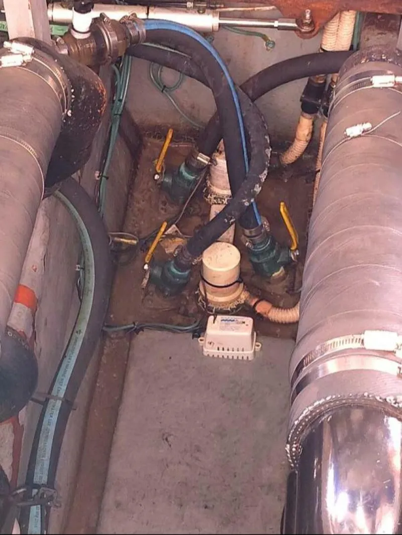 Slide: The Image of Sea Ray Sun-Dancer 2001 - 4791692