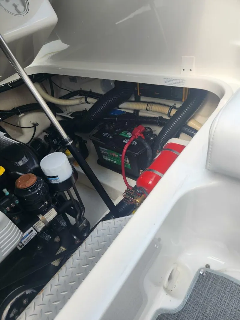Slide: The Image of Formula 270BR 2018 - 4791157