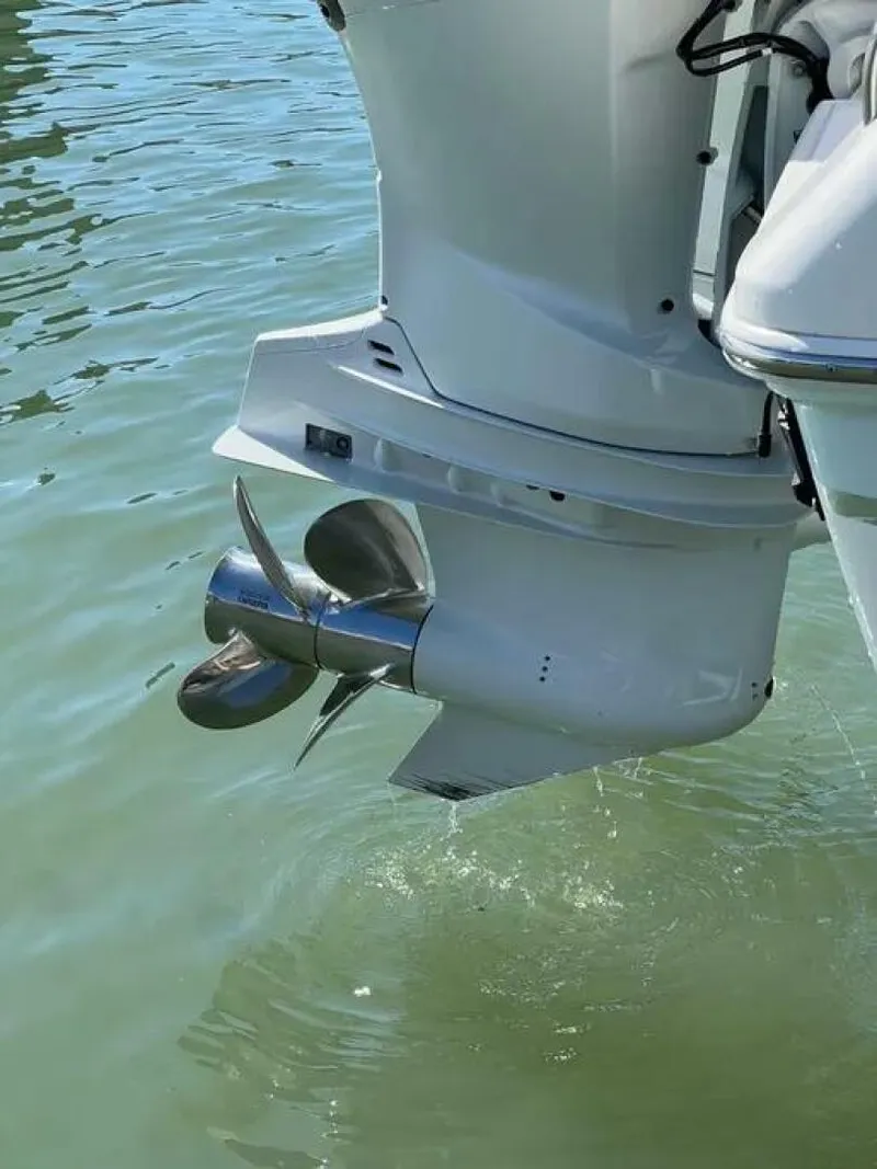 Slide: The Image of 2021 33 Stamas Aventura - 4792099