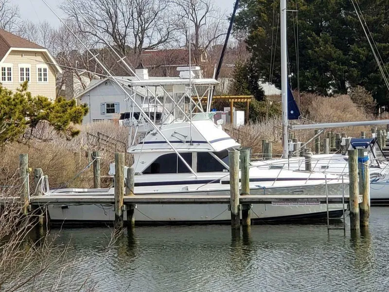 Slide: The Image of Bertram 35 Convertible 1982 - 4796158