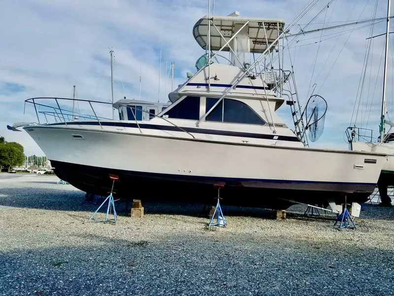Slide: The Image of Bertram 35 Convertible 1982 - 4796120