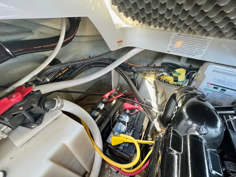 Slide: The Image of Crownline Boats 264CR 2020 - 4796417