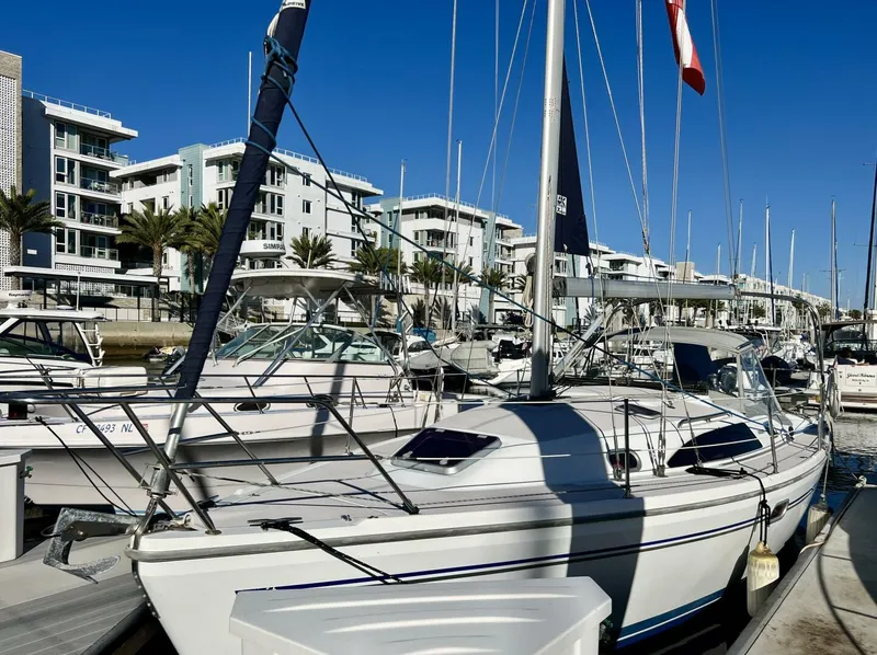 The Image of Catalina 309 2007 - 4797282