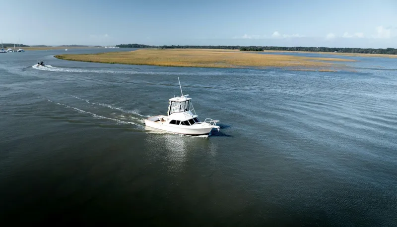 Slide: The Image of Bertram 31 Viajero- Profile 1974 Princess 31 Viajero - 4799467