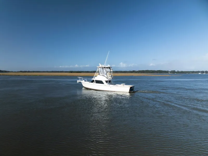 Slide: The Image of Bertram 31 Viajero- Profile 1974 Princess 31 Viajero - 4799452