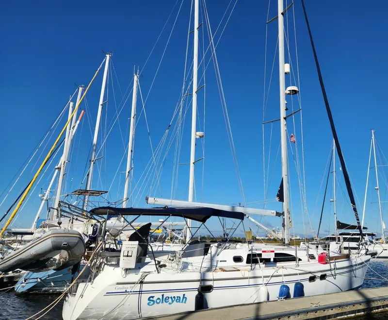 Slide: The Image of Catalina 387 2007 - 5581453