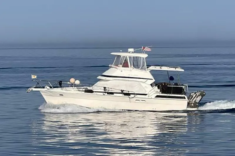 The Image of Riviera AC 1999 - 4799690