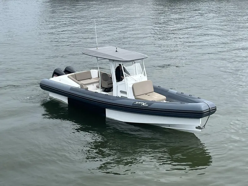 The Image of Iguana X100 2021 - 4800445