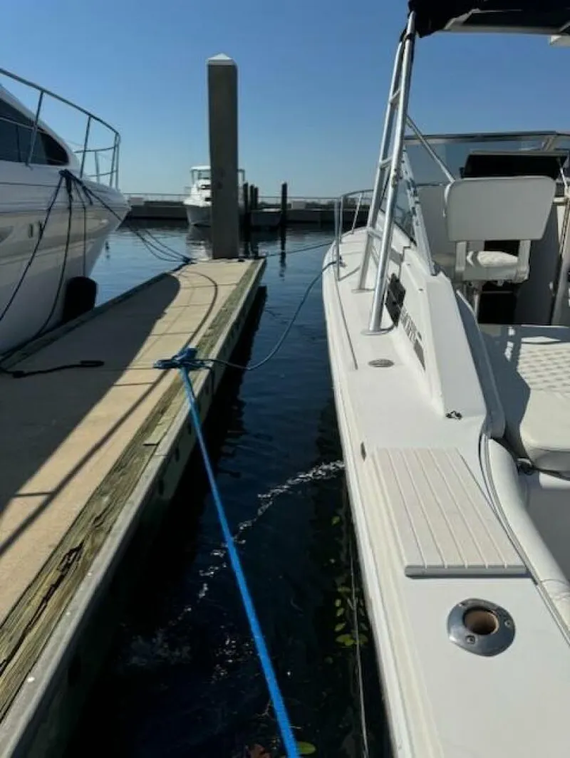 Slide: The Image of Blackfin 29 Combi 1992 - 4804019