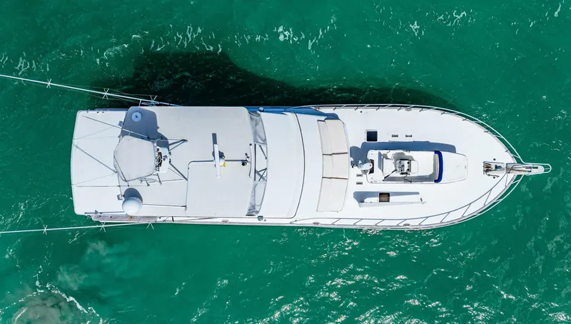 Slide: The Image of Blackwell 72 1996 - 4807395