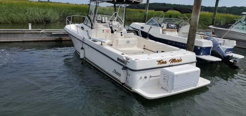 Slide: The Image of Shamrock 246 Adventure 2005 - 4809962