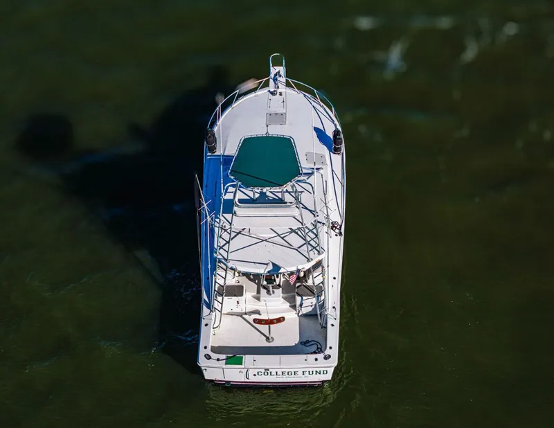 Slide: The Image of Luhrs 40 Open 2000 - 4812814