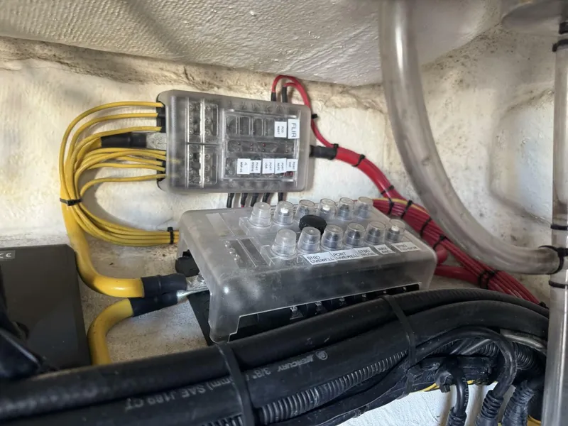 Slide: The Image of Front Runner 36 CC 2023 - 5082802