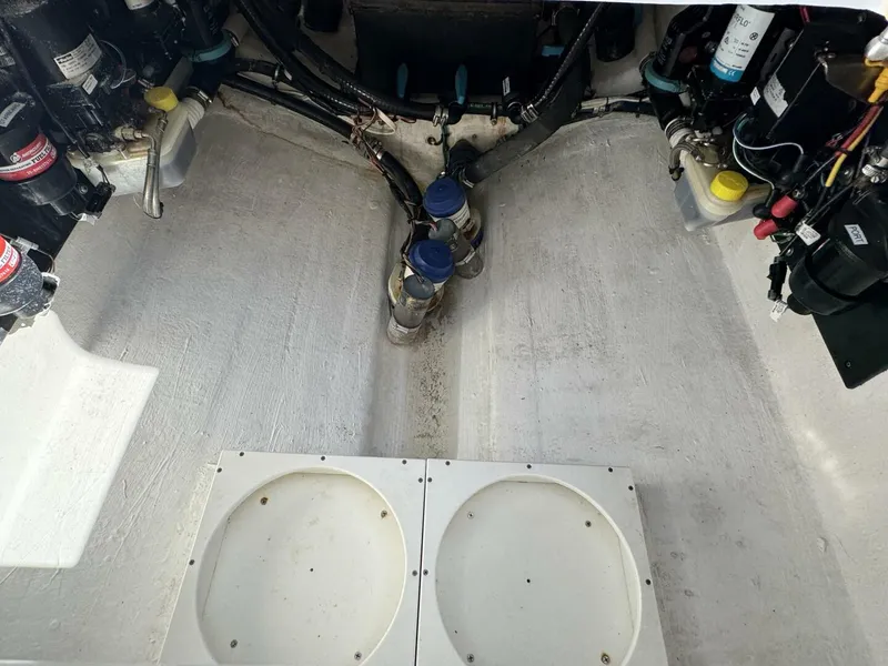 Slide: The Image of Front Runner 36 CC 2023 - 5082821