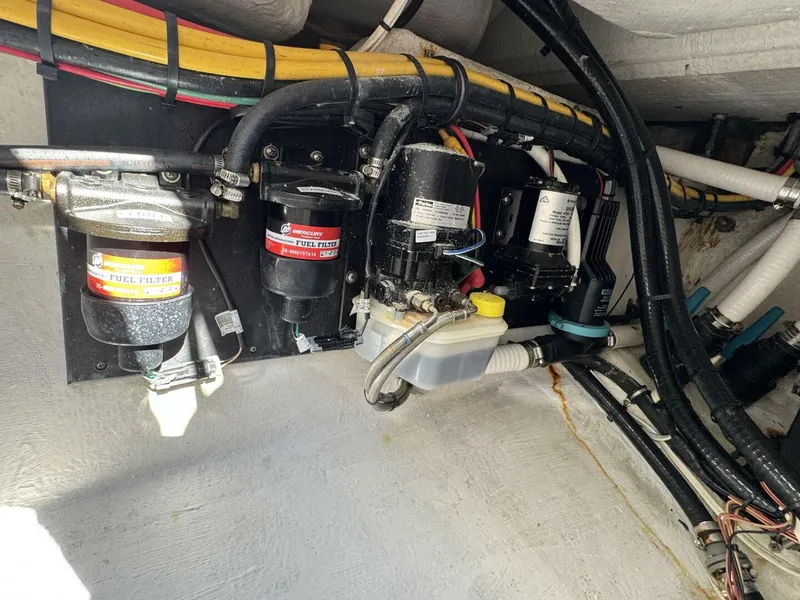 Slide: The Image of Front Runner 36 CC 2023 - 5082825